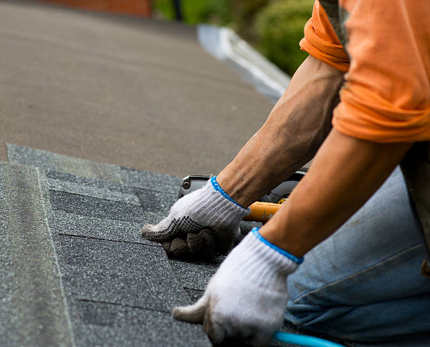 Best Residential Roofing Contractor  in Portage, IN